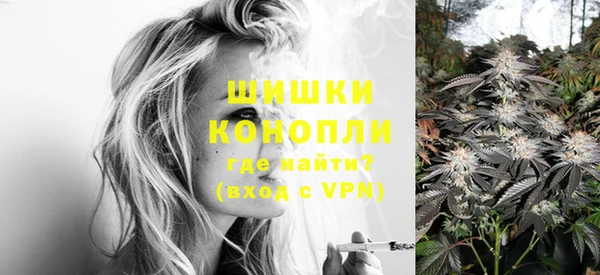 сатива Балабаново